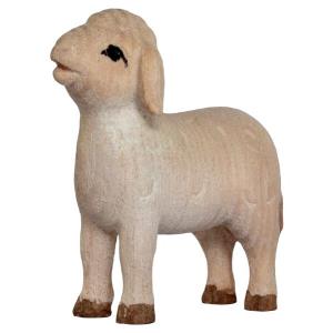 A.Agnello