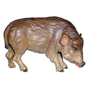 Cinghiale femmina