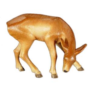 Capriolo femmina che mangia