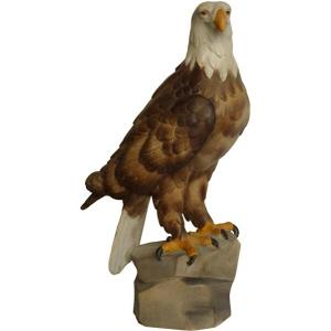 Aquila retta in tiglio