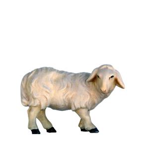 Pecora in piedi