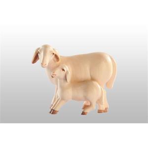 Pecora con agnello