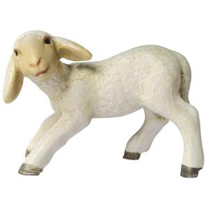 Agnello