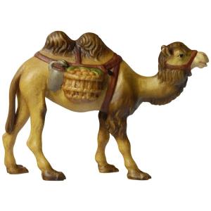 Cammello