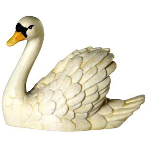 Cigno
