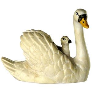 Cigno con piccolo