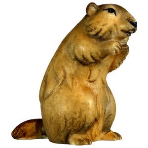 Marmotta in piedi