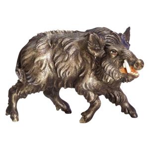 Cinghiale - maschio