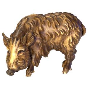 Cinghiale femmina