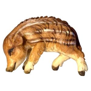 Cinghialetto testa giu'