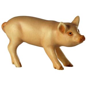 Porcellino (testa destra)