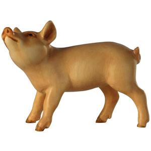 Porcellino (testa sú)