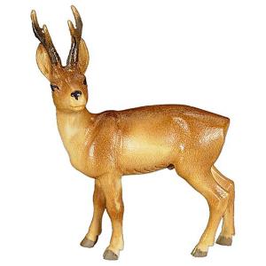 Capriolo maschio