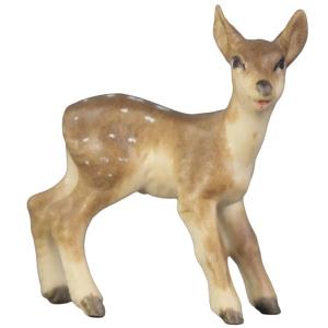 Cucciolo di Capriolo Bambi
