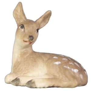 Cucciolo di Capriolo sdraiato