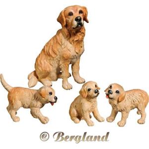 Golden Retriever con cuccioli (4 pezzi)