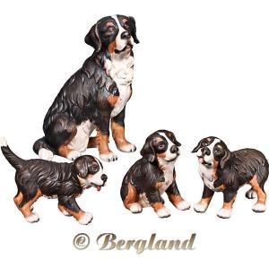 Cane bernese con cuccioli (4 pezzi)