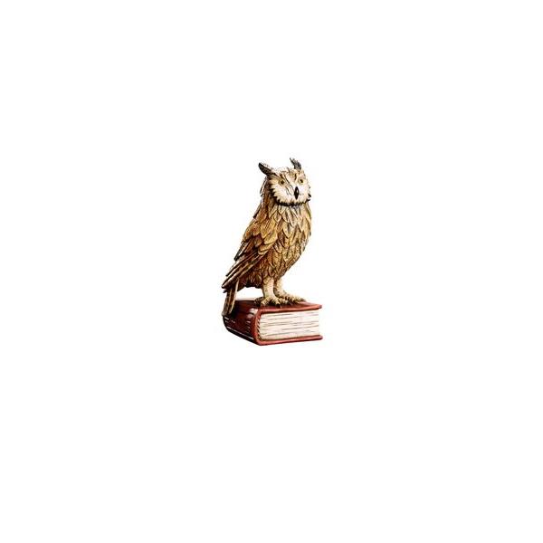 Owl on book - color