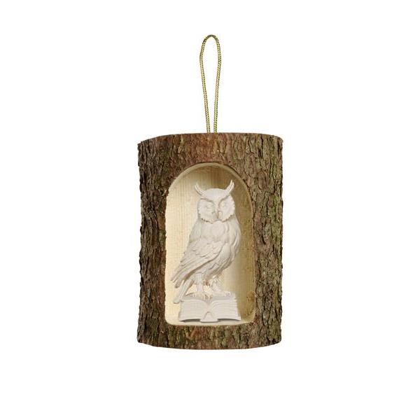 Owl on book in tree trunk hanging - natural