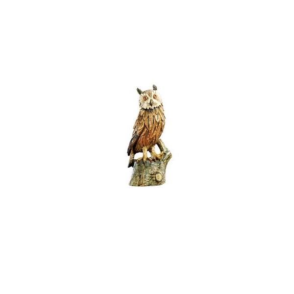 Owl on tree-trunk - color