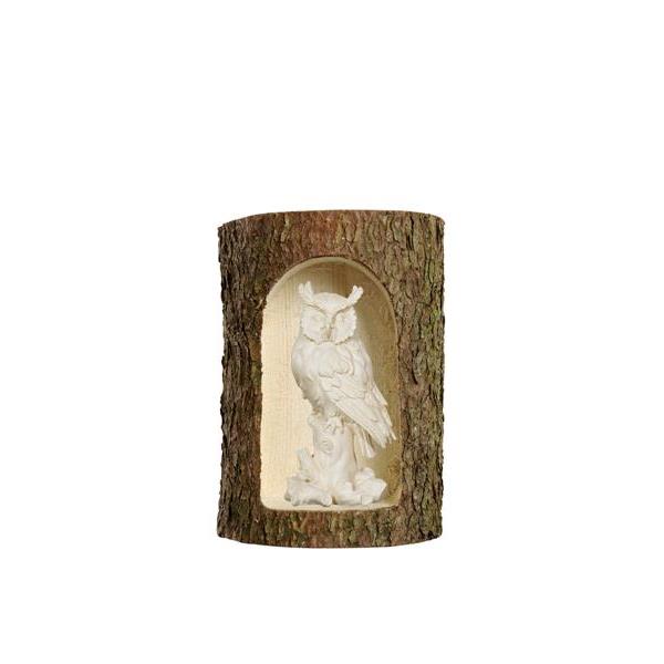 Owl on tree trunk in a tree trunk - natural