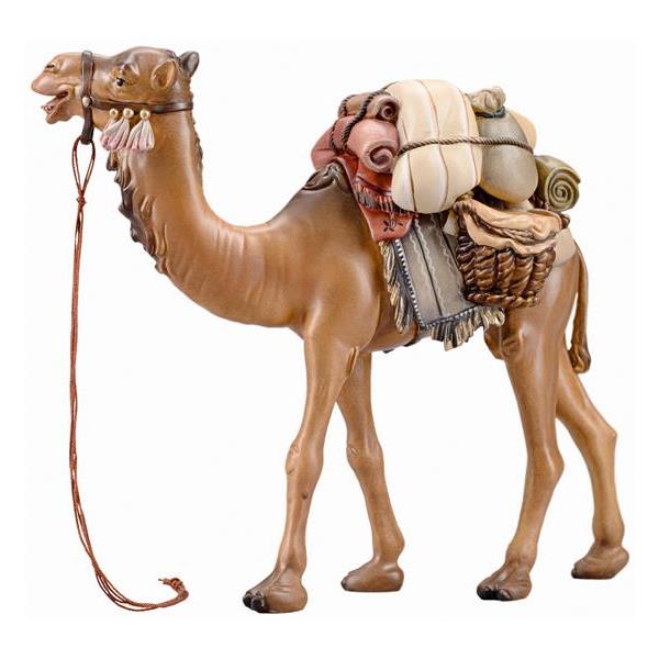 IN Camel with luggage - color