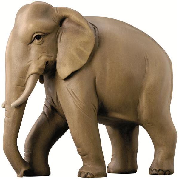 Elephant modern - color