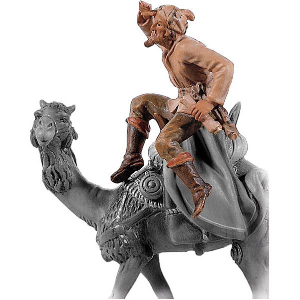 Rider without camel - color