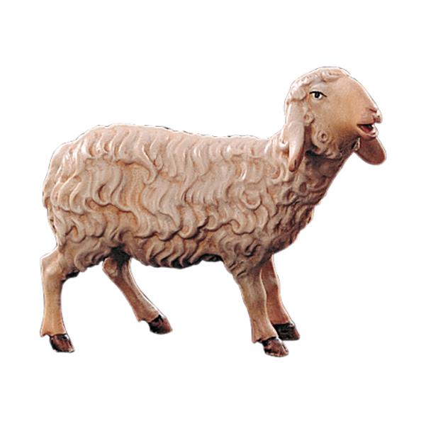 Sheep standing (without pedestal) - color
