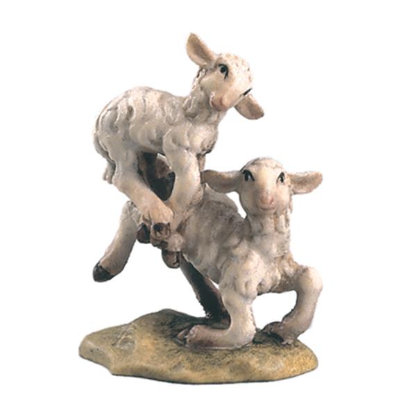 Couple of lambs hopping - color