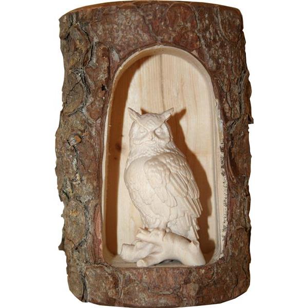 owl on tree in grotte - natural