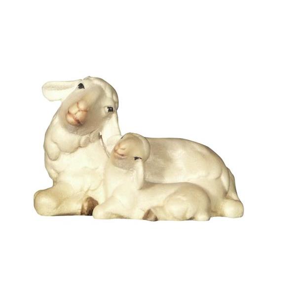 Sheep laying with lamb sleeping - color