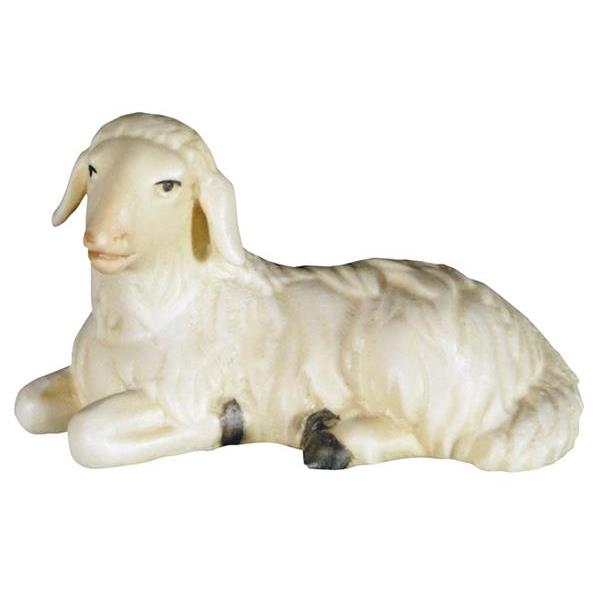 Sheep laying - color