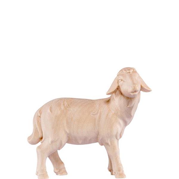 Sheep standing Artis - natural