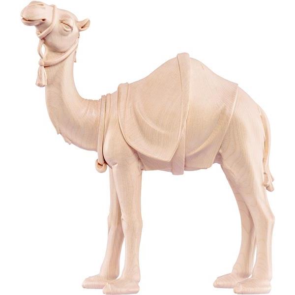 Camel Artis - natural