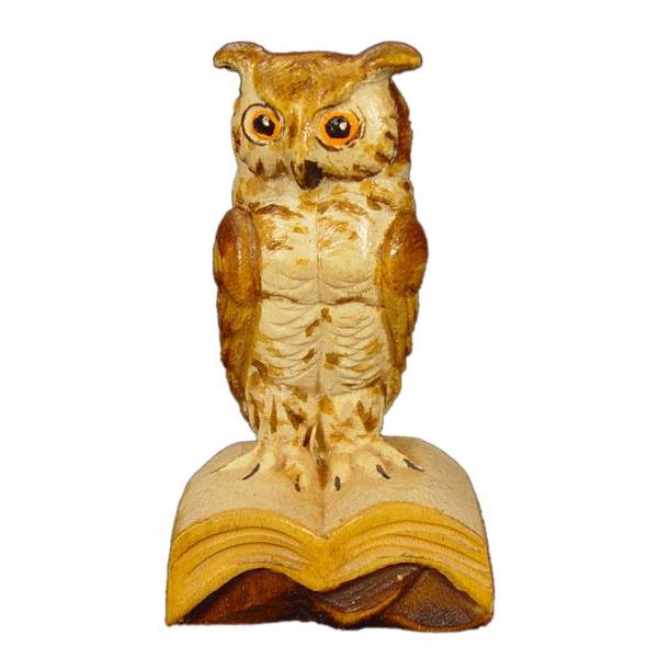 Owl on book in pine - color
