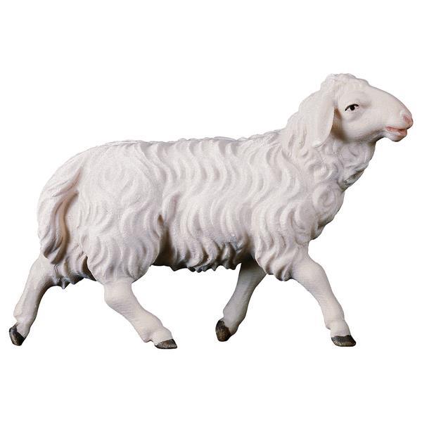 UL Running sheep - color