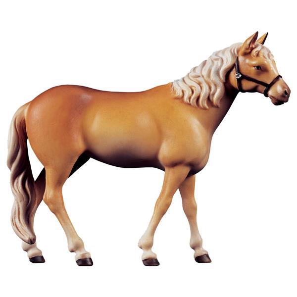 SH Standing horse - color