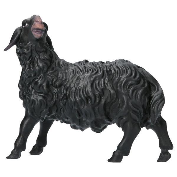 SH Sheep looking leftward black - color