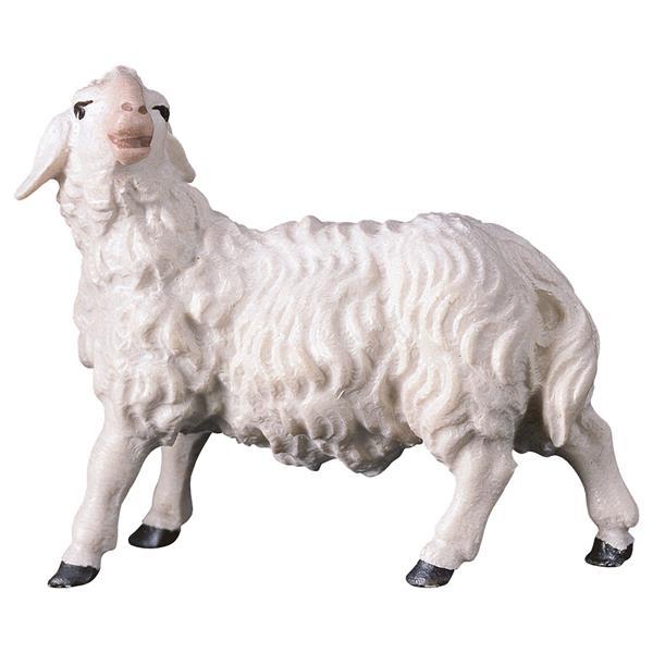 SH Sheep looking leftward - color