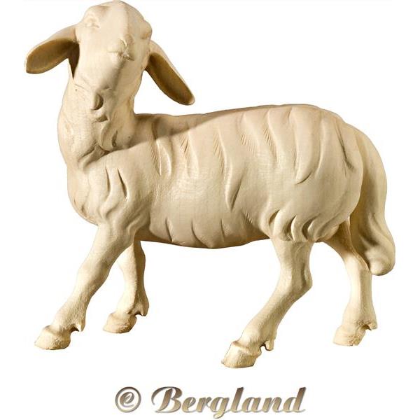Sheep head upholding (without base) - natural
